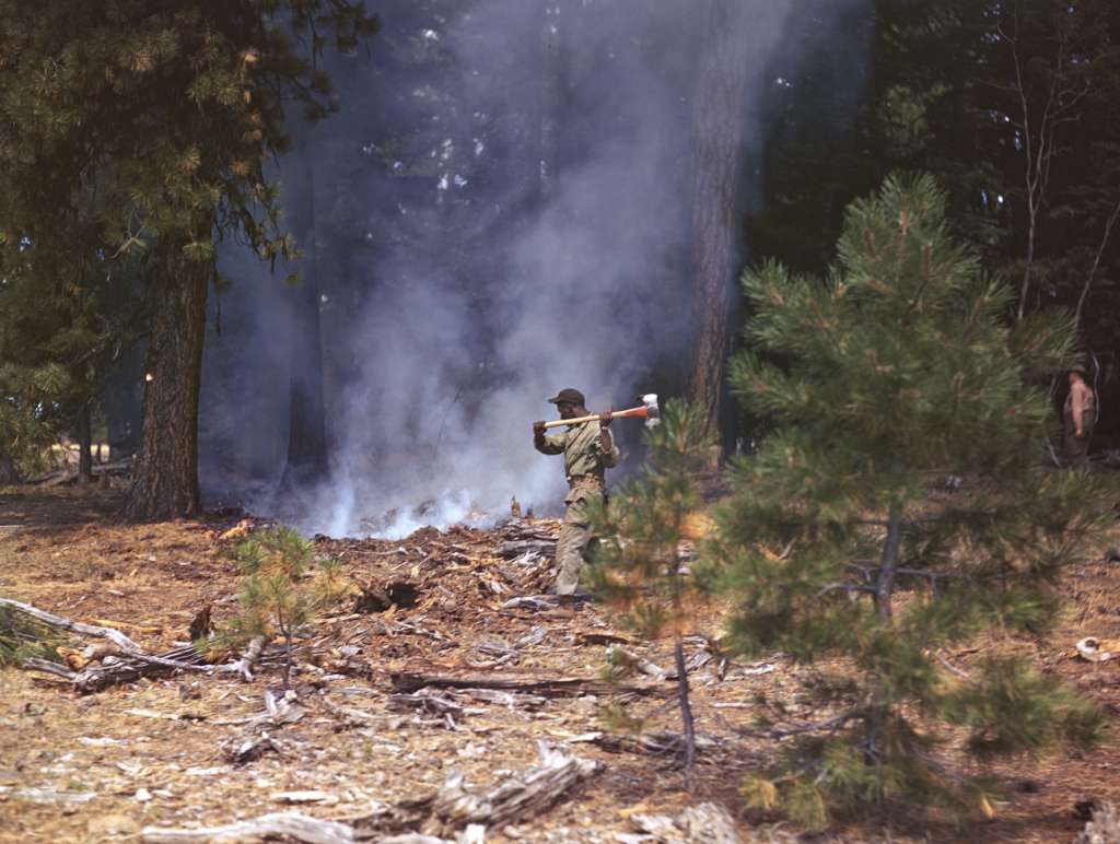 Unveiling The World Of Smokejumpers, The Elite Firefighters Battling ...